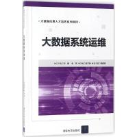 大数据系统运维 姜才康 主编 大中专 文轩网