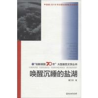 唤醒沉睡的盐湖 董立勃 著 文学 文轩网