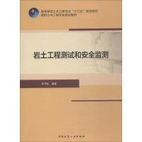 岩土工程测试和安全监测 何开胜 编著 大中专 文轩网