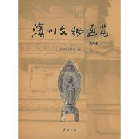 滨州文物通览 无 著 滨州市文物局 编 社科 文轩网