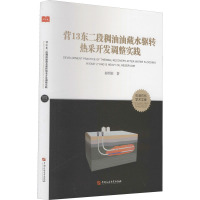 营13东二段稠油油藏水驱转热采开发调整实践 赵明宸 著 专业科技 文轩网