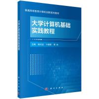 大学计算机基础实践教程 陈付龙,卞维新,李杰 著 大中专 文轩网