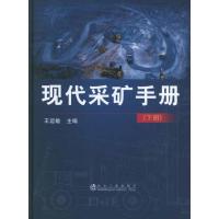 现代采矿手册(下册) 王运敏 编 著作 专业科技 文轩网