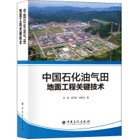 中国石化油气田地面工程关键技术 张毅,屈丹龙,徐孝轩 著 专业科技 文轩网