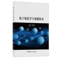 量子电化学与电镀技术 刘仁志 著 刘仁志 编 专业科技 文轩网