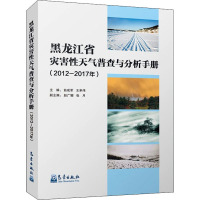 黑龙江省灾害性天气普查与分析手册(2012-2017年) 曲成军,王承伟 编 专业科技 文轩网