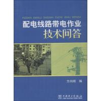 配电线路带电作业技术问答 方向晖 编 专业科技 文轩网