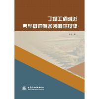 丁坝工程附近典型微地貌水沙响应规律 张立 著 专业科技 文轩网