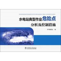 水电站典型作业危险点分析及控制措施 本书编委会 编 著作 专业科技 文轩网