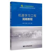 机器学习工程简明教程 杨坡 颜健 白刚 著 专业科技 文轩网