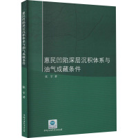 惠民凹陷深层沉积体系与油气成藏条件 张宇 著 专业科技 文轩网