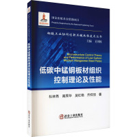 低碳中锰钢板材组织控制理论及性能 杜林秀 等 著 专业科技 文轩网