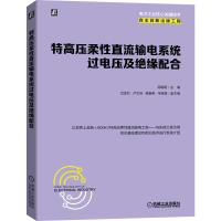 特高压柔性直流输电系统过电压及绝缘配合 高锡明 著 专业科技 文轩网