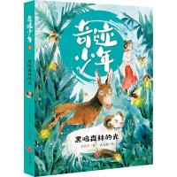 黑暗森林的光/奇迹少年 王天宁 著 么么鹿 绘 少儿 文轩网