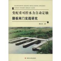 变配重可控水力自动定轴翻板闸门实践研究 谢太生 著 专业科技 文轩网