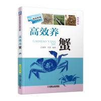 高效养蟹 占家智羊茜编著 著 专业科技 文轩网