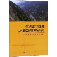 深切峡谷斜坡地震动响应研究 王运生,刘勇,罗永红 等 著 大中专 文轩网