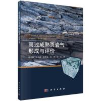 高过成熟页岩气形成与评价 韩双彪//万金彬//孙梦迪//党伟//郎岳 著 专业科技 文轩网