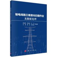 输电线路三维激光扫描作业及数据处理 黄绪勇等 著 专业科技 文轩网