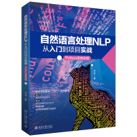 自然语言处理NLP从入门到项目实战:Python语言实现 艾浒 著 专业科技 文轩网