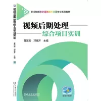 视频后期处理综合项目实训 黄海英 著 大中专 文轩网