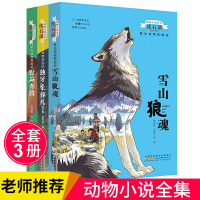 沈石溪动物小说系列野生动物救助站3册(雪山狼魂+野马奔腾+独牙象葬礼) 沈石溪,沈悦 著 等 少儿 文轩网