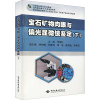 宝石矿物肉眼与偏光显微镜鉴定(下) 李继红 编 大中专 文轩网