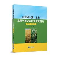 山东省小麦、玉米主要气象灾害时空演变图集(1981—2050年) 李楠 著 专业科技 文轩网