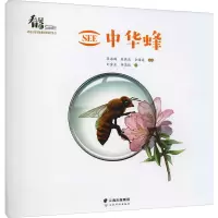 SEE中华蜂 匡海鸥,朱晓波,余路遥 等 编 刘富东,李思佳 绘 专业科技 文轩网