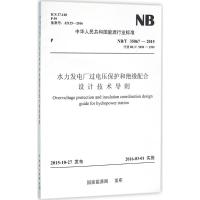 水力发电厂过电压保护和绝缘配合设计技术导则 国家能源局 发布 专业科技 文轩网