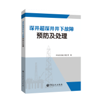 深井超深井井下故障预防及处理 中石化石油工程公司 著 专业科技 文轩网