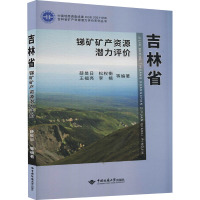 吉林省锑矿矿产资源潜力评价 薛昊日 等 编 专业科技 文轩网