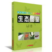 湖北省主要林业有害昆虫生态图鉴 戴丽 著 专业科技 文轩网