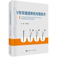 V形双通道脊柱内镜技术 贺石生 著 生活 文轩网