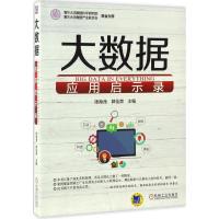 大数据应用启示录 陈海滢,郭佳肃 主编 专业科技 文轩网