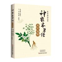 《神农本草经》用药指南 高文勇,李成文 著 生活 文轩网