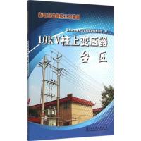 10kV柱上变压器台区 国网山东省电力公司临沂供电公司 编 专业科技 文轩网