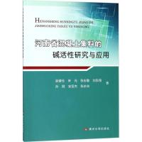 河南省混凝土集料的碱活性研究与应用 赵健仓 等 著 专业科技 文轩网