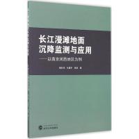 长江漫滩地面沉降监测与应用 储征伟,岳建平,张涛 著 著 专业科技 文轩网