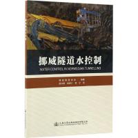 挪威隧道水控制 挪威隧道协会 编著;周书明,杨秀仁,贺宁 译 专业科技 文轩网