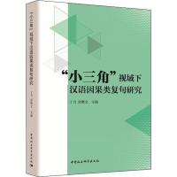 "小三角"视域下汉语因果类复句研究 丁力,宋增文主编 著 丁力,宋增文 编 文教 文轩网