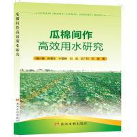 瓜棉间作高效用水研究 强小嫚 著 专业科技 文轩网