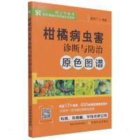 柑橘病虫害诊断与防治原色图谱 夏声广 著 专业科技 文轩网