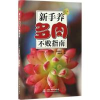 新手养多肉不败指南 (日)羽兼直行 著;满新茹 译 生活 文轩网