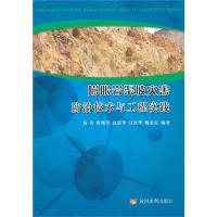 膨胀岩渠坡灾害防治技术与工程实践 高英 著作 著 专业科技 文轩网