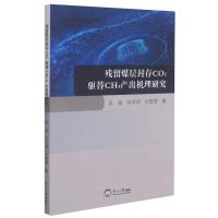 残留煤层封存CO2驱替CH4产出机理研究 吴迪//孙可明//刘雪莹 著 专业科技 文轩网