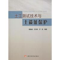 土工测试技术与土遗址保护 杨振威,任克彬,尹松 著 专业科技 文轩网