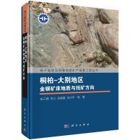 桐柏-大别地区金银矿床地质与找矿方向 彭三国等 著 专业科技 文轩网