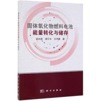 固体氧化物燃料电池能量转化与储存 史翊翔,蔡宁生,王雨晴 著 专业科技 文轩网