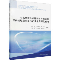 宁东典型生态脆弱矿井水资源保护性煤炭开采与矿井水资源化利用 翟文 等 编 大中专 文轩网